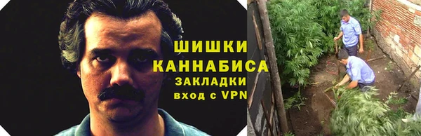 дурь Арсеньев