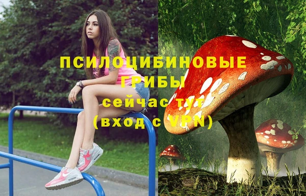 дурь Арсеньев